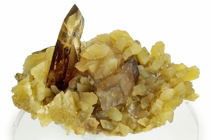 Honey Colored Barite Crystals on Fluorescent Calcite - Elk Creek #321958